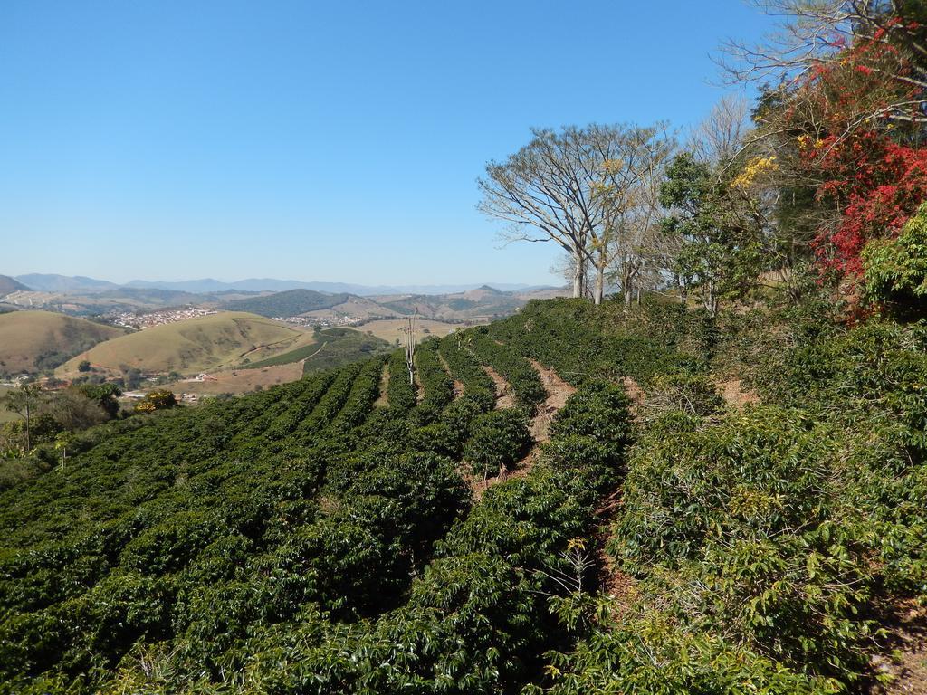 Pousada Lambari Montanha Hotel 外观 照片